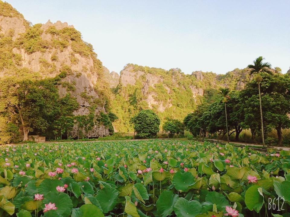 Tam Coc Happy Home Ninh Binh Exterior photo